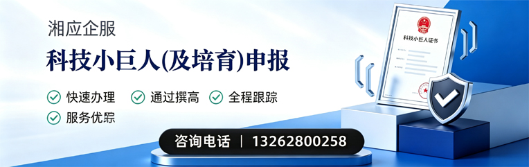 韶关科技小巨人及培育企业申报服务