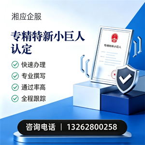 韶关专精特新小巨人申报服务