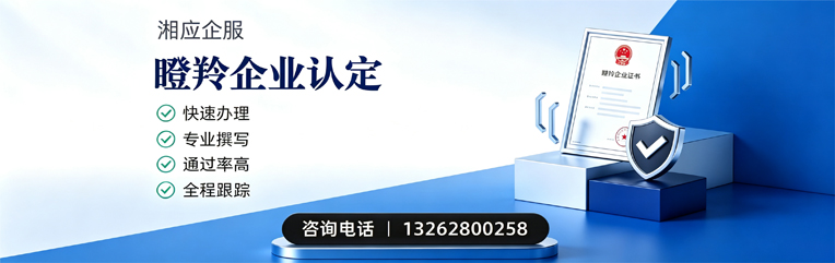 韶关瞪羚企业认定申报服务
