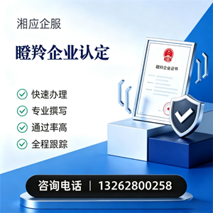 韶关瞪羚企业认定申报服务