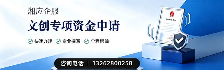 韶关文创专项资金申报服务