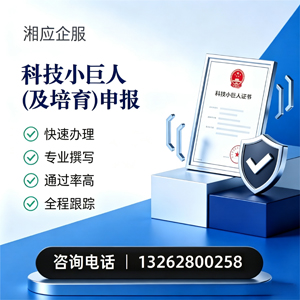 韶关科技小巨人及培育企业申报服务