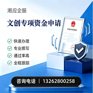 韶关文创专项资金申报服务
