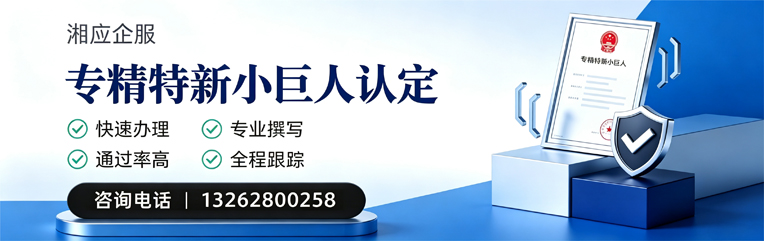 韶关专精特新小巨人申报服务